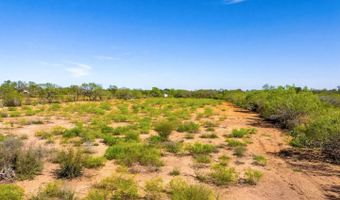 4246 Rakowitz Rd, Adkins, TX 78101