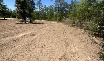 Empire Avenue, Alford, FL 32420