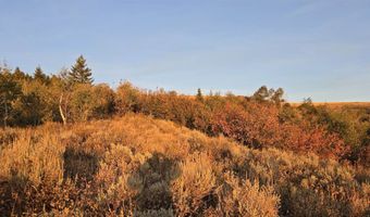 Mercer Creek Rd, Arbon, ID 83212
