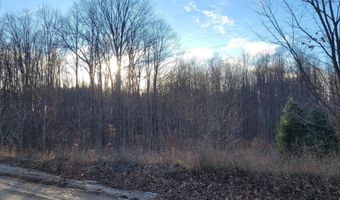 1091 Plum Valley Rd NW, Alden, MI 49612