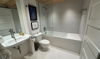 927 VINE St, Aspen, CO 81611