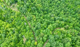 00 Coal Branch Rd, Beattyville, KY 41311