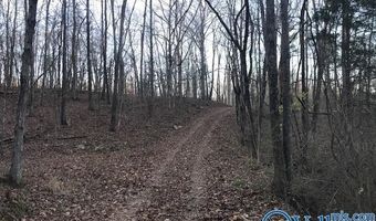 6777 Hwy 207, Anderson, AL 35610