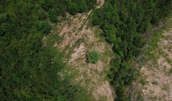 Tucker Road lot 8, Bath Springs, TN 38311