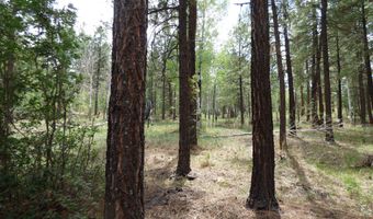 38 CR 2266, Alpine, AZ 85920