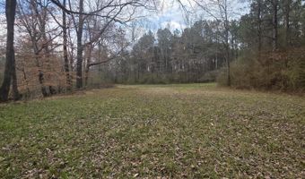 U.S. Highway 51, Bogue Chitto, MS 39629