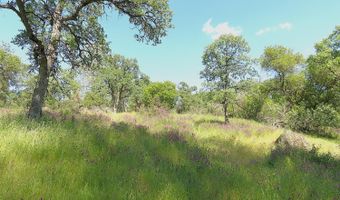 3528 Appaloosa Way, Angels Camp, CA 95222