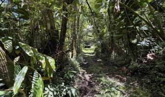 105 Hana Hwy, Hana, HI 96713