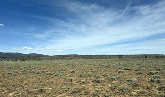 Oregon Pines Road TL 2000, Beatty, OR 97621