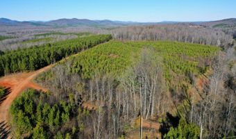 0 Windy Ridge Way, Amherst, VA 24521