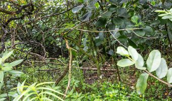 PARADISE DR, Keaau, HI 96749