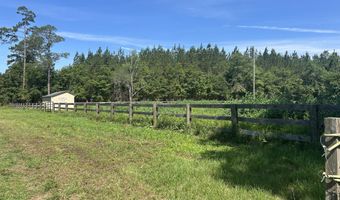 10886 Burtons Ferry Hwy, Allendale, SC 29810