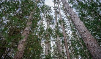 Lot 87 20th Avenue, Arkdale, WI 54613