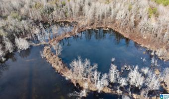 BRUSH CREEK DRIVE lot 0, Akron, AL 35441