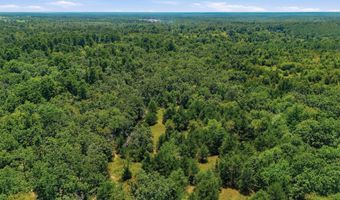 0001 E 1930 Rd, Antlers, OK 74523