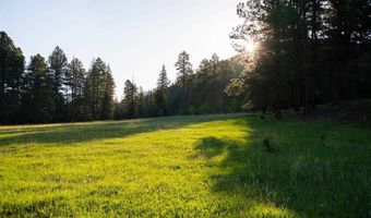 10643 CR 501, Bayfield, CO 81122