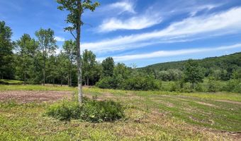 Woodland Hills Road, Andes, NY 13731