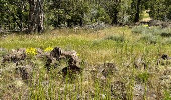 12661 E Langell Valley Rd, Bonanza, OR 97623