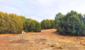 55 N Country Club Dr, Concho, AZ 85924