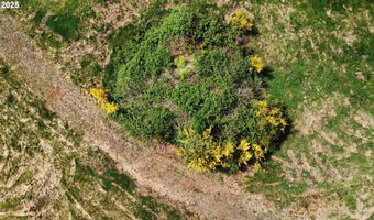 Knappa Dock Rd, Astoria, OR 97103