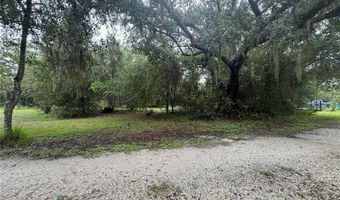 2480 NW GENES LITTLE ACRES Ave, Arcadia, FL 34266