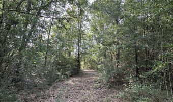 80 AC Old River Rd, Baker, FL 32531