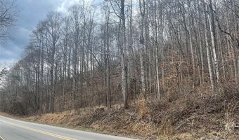 Martins Creek Road, Barnardsville, NC 28709