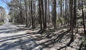 0 Lot 1 Creek Place Rd, Arapahoe, NC 28510