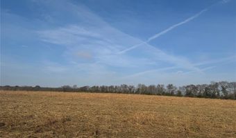 000 FM 44, Annona, TX 75550