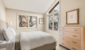 40 Mountain Laurel Ln, Aspen, CO 81611