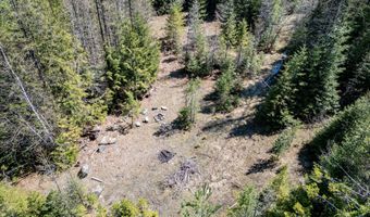 Nhn W Swan Shores Road, Bigfork, MT 59911