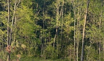 Selma Road, Amelia, VA 23083