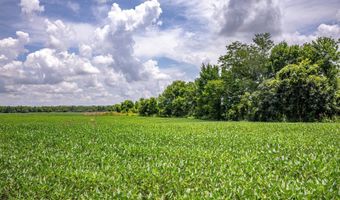 0 Straight Bayou Rd, Anguilla, MS 38721
