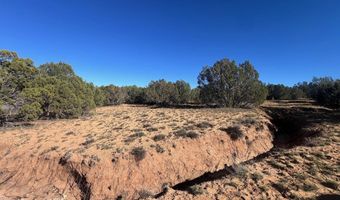 96 CR3041, Concho, AZ 85924