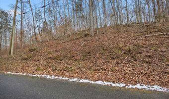 Fox Hollow Lane, Andersonville, TN 37705