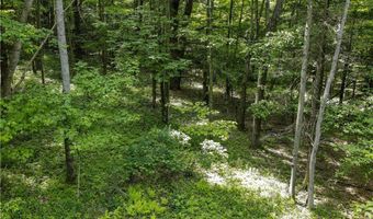738 Four Mile Rd, Allegany, NY 14706