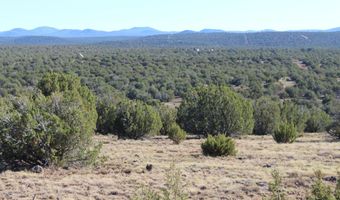 6 County Road 8052, Concho, AZ 85924