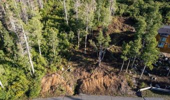 1037 Snow Crest Rd, Alpine Meadows, CA 96146