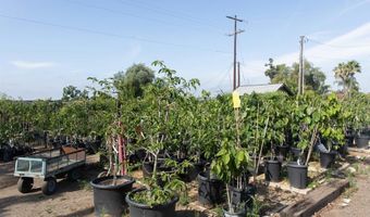 3129 Reche Rd, Fallbrook, CA 92028