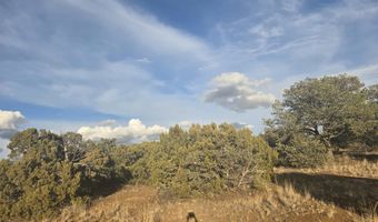 16 Madison, Arenas Valley, NM 88022