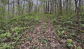 Tract 5 E Pine Road Common, Bloomfield, IN 47424