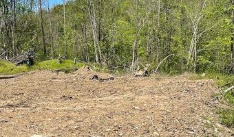 9999 Hooker Branch Rd, Barbourville, KY 40906