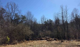 15 Spruce Pine Ln, Bassett, VA 24055