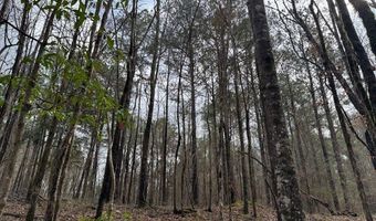 920 B Auburn Dr, Bogue Chitto, MS 39629