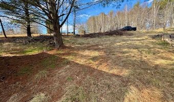 1475 Swecker Town Rd, Barren Springs, VA 24313