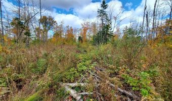 91 Greenleaf Brook Rd, Amity, ME 04730