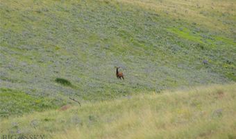 287 Spring Creek Rd, Absarokee, MT 59001