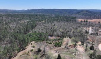 761 Richardson, Amity, AR 71921
