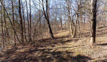 5295 Hackmann Rd, Augusta, MO 63332