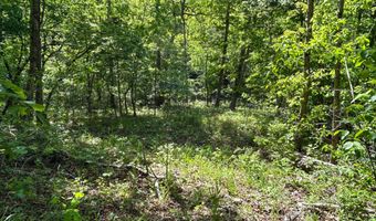 County Road 544, Bakersfield, MO 65609